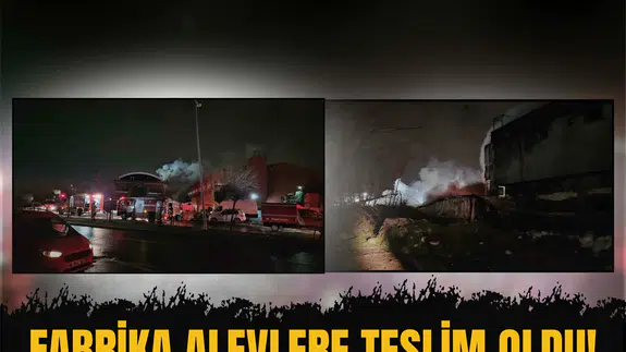 İstanbul’u ayağa kaldıran yangın: Fabrika alevlere teslim oldu!