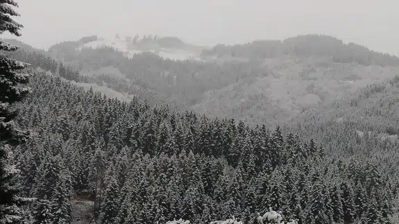 Trabzon’da doğa sertleşiyor: Sağanak, sel ve heyelan tehlikesi