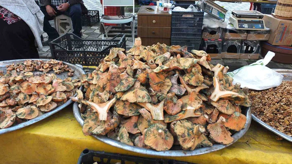 İki aylık yağmur mantar bereketi getirdi: Fiyatlar düştü, tezgâhlar doldu!