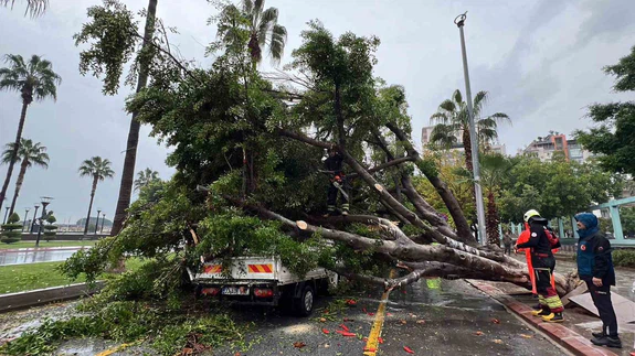 Mersin’de yağışla gelen tehlike: Ağaç araçların üzerine devrildi!