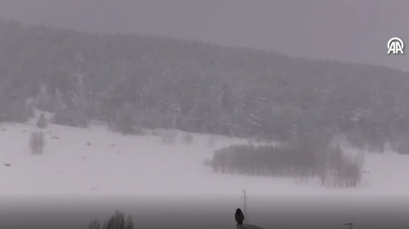 Dört İl Kara Teslim Oldu: Karla Mücadele Ekipleri İşinin Başında