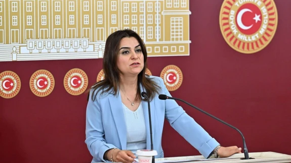 Gülistan Kılıç Koçyiğit Biyografisi? Evli Mi, Aslen Nereli, Kaç Yaşında, Mesleği, Kimdir, Hangi Partili?