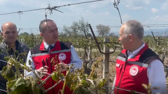 Manisa'da Düşen Hava Sıcaklıkları Zirai Dona Sebep Oldu