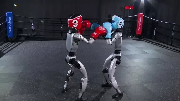Dünyanın ilk robot boksu turnuvasında tarihi zafer (video)