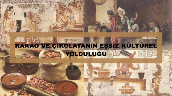 Bir Çekirdeğin 3000 Yıllık Hikayesi