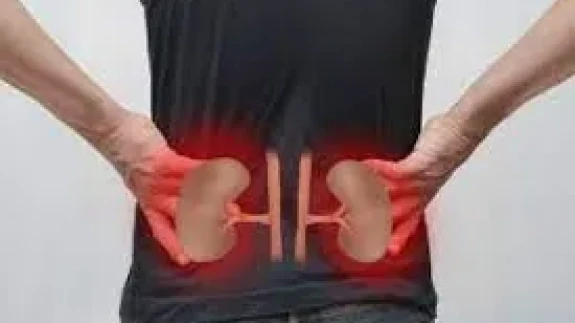 Görmezden Gelinen 7 Alışkanlık: Böbrekleri Sessizce Yıpratıyor