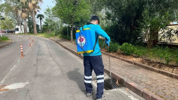 Sivrisinek Alarmı! Trabzon’da 17 Bin Nokta İlaçlandı