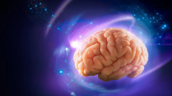 Sağlıklı Beyin İşlevi: Zihinsel Performanstan Fiziksel Sağlığa Etkileri Neler?