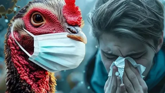 Kuş Gribi (H5N1) Kabusu Geri Mi Dönüyor? Uzmanlar 2025 İçin Uyarıyor!