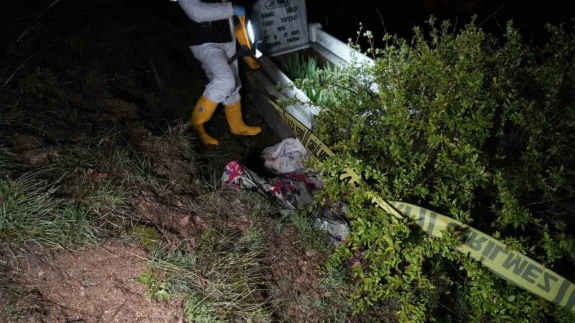 Gümüşhane'de Ayı Mezarlığa İndi: Cenazeyi Mezardan Çıkardı