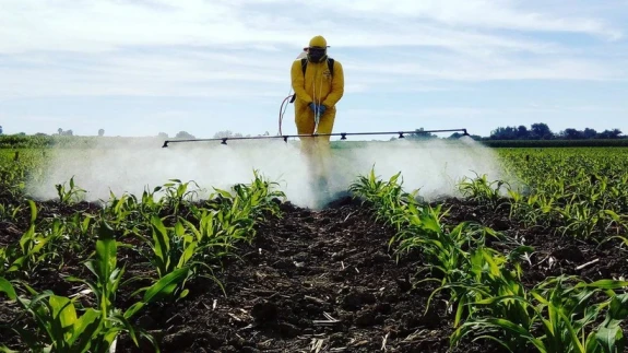 Gıda alarmı! İşte Türkiye’de en fazla pestisit bulunan 10 ürün