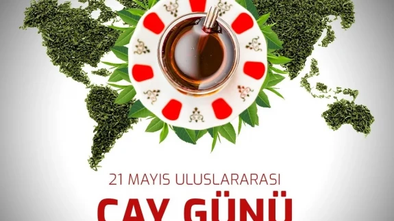 Çayın Sıcak Tarihi: 5000 Yıllık Serüven