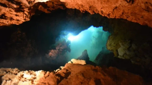 Bilim insanları yeraltı mağarasında yeni bir kabuklu türü keşfetti!