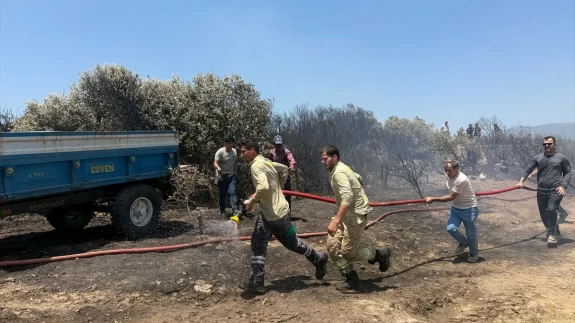 İzmir’de yangın paniği! Havadan müdahale başladı