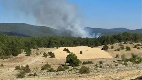 Eskişehir’de orman yangını alarmı!