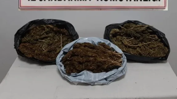 Adana’da uyuşturucuya yüksek teknoloji: Konteynerlerde skunk tarlası