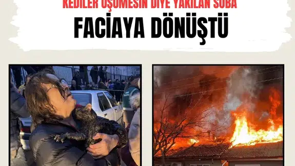 Kediler üşümesin diye yakılan soba faciaya dönüştü: İki ev küle döndü