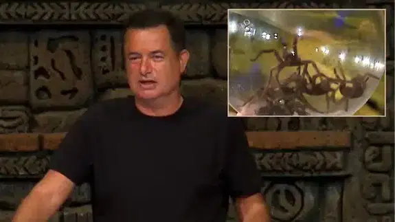 Fanus, tarantula ve gözyaşı... RTÜK engeline takılan Survivor’daki korku dolu ceza ortaya çıktı!
