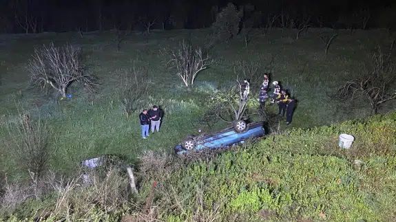 Aydın'da feci kaza! Domuz yola fırladı, otomobil uçuruma düştü