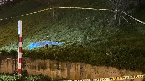 İstanbul’da esrarengiz ölüm! Yeşil alanda tüyler ürperten keşif