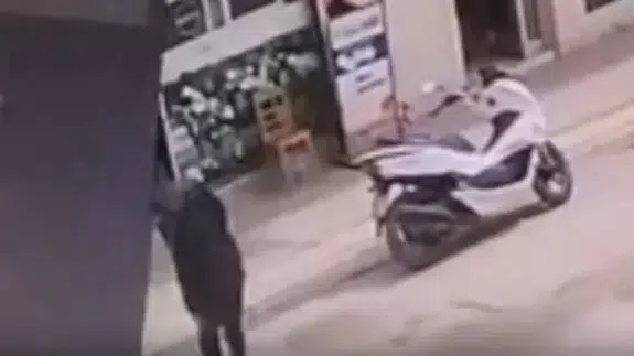 Bıçaklı saldırıya sandalyeli siper! Adana'da şoke eden anlar kameralara böyle yansıdı...