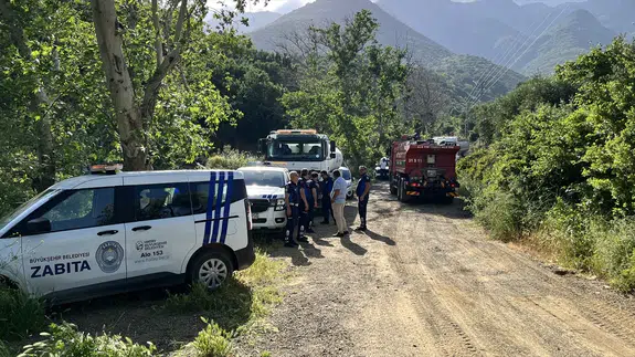 Hatay'da yürekler ağza geldi! Orman alevlere teslim oldu