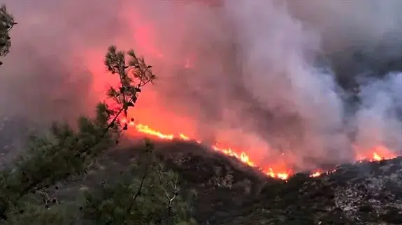 Antalya'dan korkutan haber: Kaş Üzümlü'de alevler yükseliyor