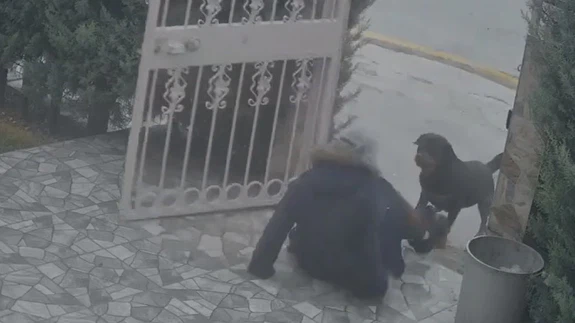 Ankara’da sokak ortasında dehşet… Köpekler saldırdı, canını zor kurtardı!