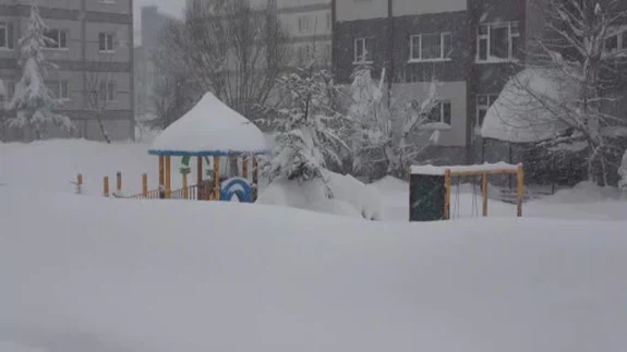 Bitlis’te hayat dondu... Kar her şeyi susturdu, 335 köy ulaşıma kapandı!