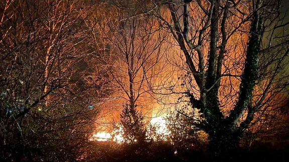 Yangın var, neden yok... Zonguldak’ta ağaçlar alev aldı!