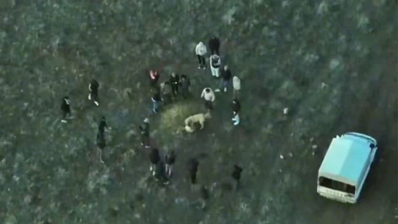 Afyonkarahisar’da dronla suç üstü… Köpek dövüşüne jandarma baskını!