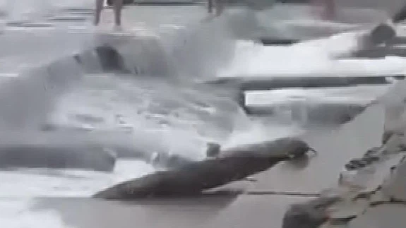 Tatil günü kabusa döndü... Caddebostan’da lodos sahili can pazarına çevirdi!