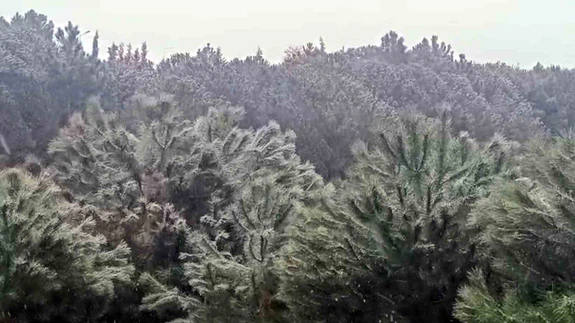 İstanbul’da yüksek kesimlerde kar yağışı başladı