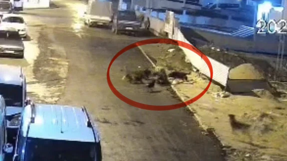 İbadetten dönerken ölümle burun buruna geldi! ! 65’lik kadına sokak saldırısı anbean kamerada...