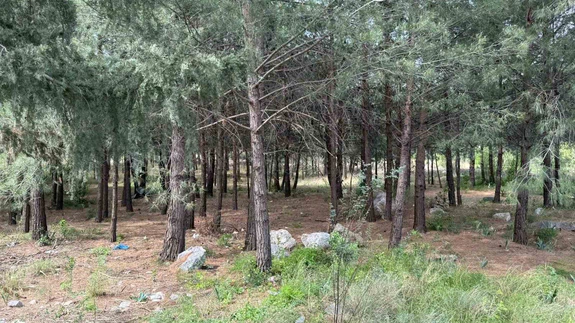 Jandama tek tek çözdü: Anne ve oğlunu 'gönül ilişkisi' ve 'altın' için öldürmüşler!