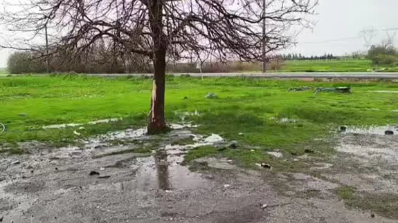 Sağanaktan kaçarken canlarından oldular: Diyarbakır'da kader birliği yapan üç kuzeni yıldırım ayırdı!