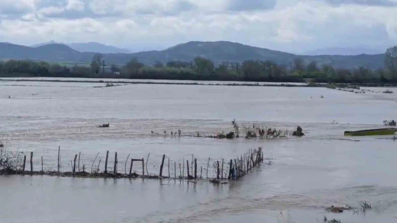 Meriç Nehri taştı, sular yollara ulaştı