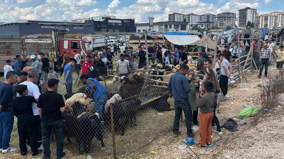 Arefe günü Gaziantep’teki kurban pazarlarında yoğunluk had safhaya çıktı