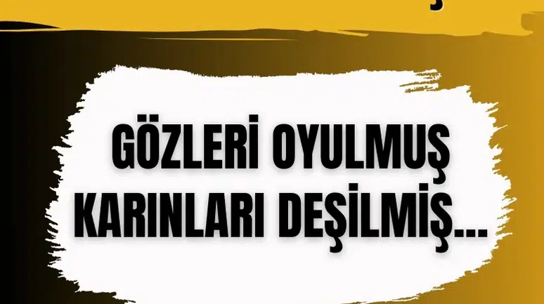 Kedilerin gözleri oyulmuş, karınları deşilmiş şekilde bulundu