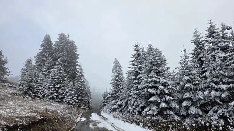 Doğu Karadeniz’e kış çöktü...Rize ve Artvin’in yaylaları beyaza büründü!