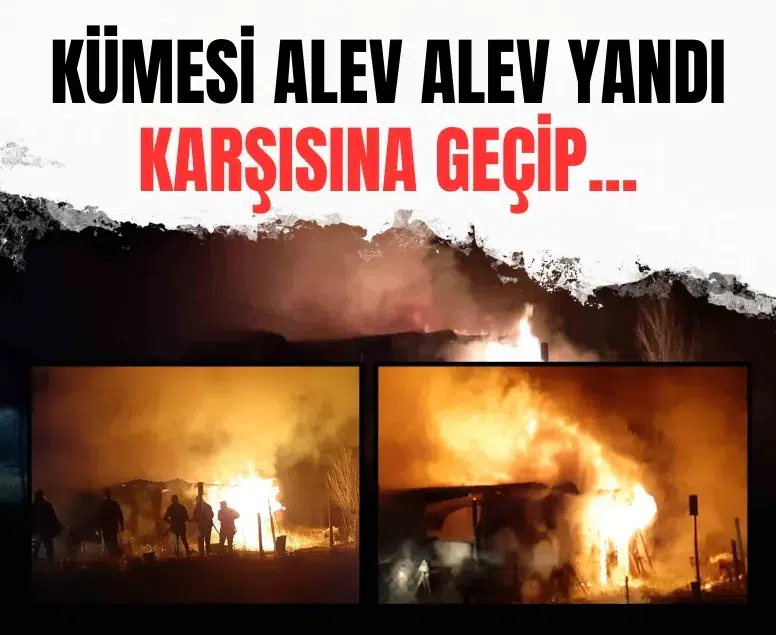 Kümesi alev alev yandı, karşısına geçip 'Canımız sağ, ben de yanabilirdim' dedi