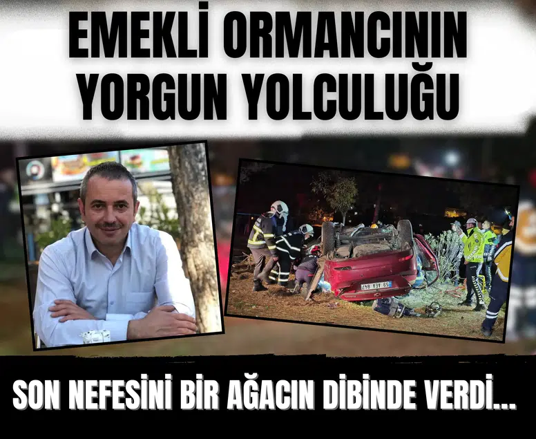 Emekli ormancının yorgun yolculuğu: Son nefesini bir ağacın dibinde verdi…