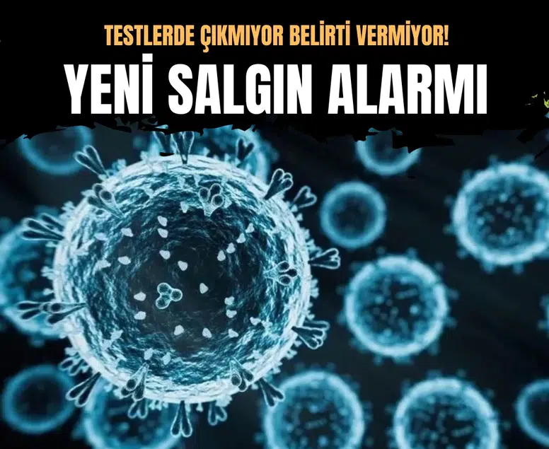 İnfluenza D virüsüne ilişkin yeni bulgular: İnsanlarda sessiz yayılım ihtimali