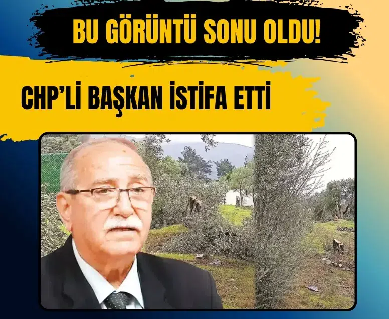 Milas’ta zeytin ağaçları iddiası sonrası CHP İlçe Başkanı Ahmet Kılbey görevden ayrıldı