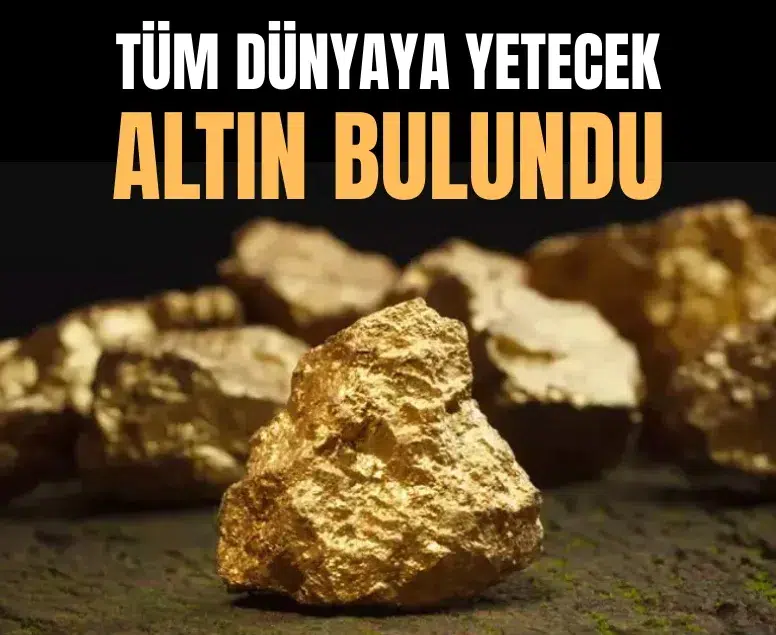 Kanadalı şirket Surinam’da yüksek saflıkta altın damarı tespit etti