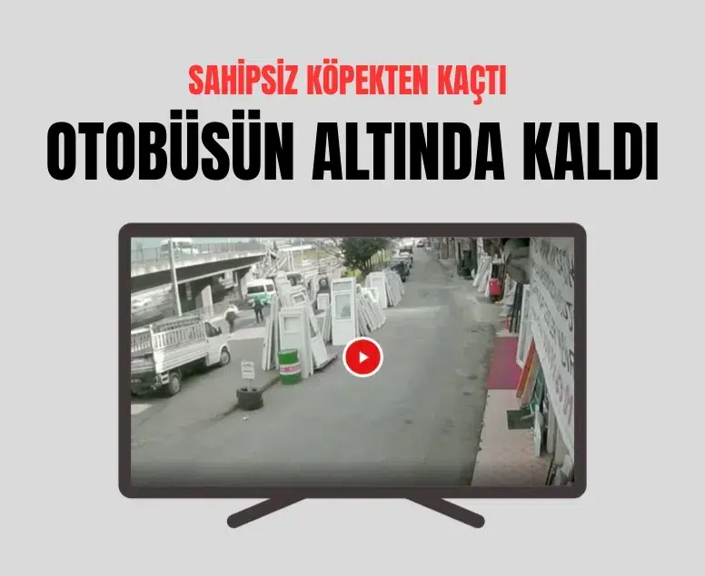 Trabzon’da sahipsiz köpekten kaçan üniversite öğrencisine otobüs çarptı