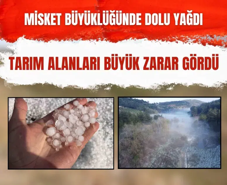 Mersin’de misket büyüklüğünde dolu etkili oldu: Orman ve bahçeler beyaza büründü