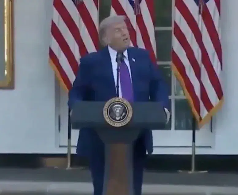 Beyaz Saray’da kuş firarda, Trump alarmda: 'Drone sandım!'