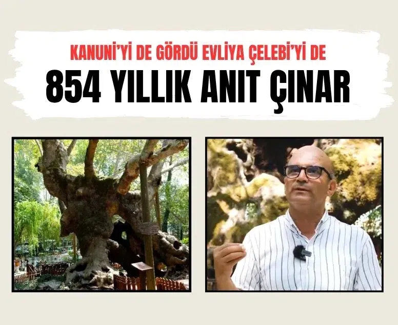 Kanuni’yi de gördü Evliya Çelebi’yi de… Bakan Kurum 854 yıllık anıt çınarın hikayesini paylaştı