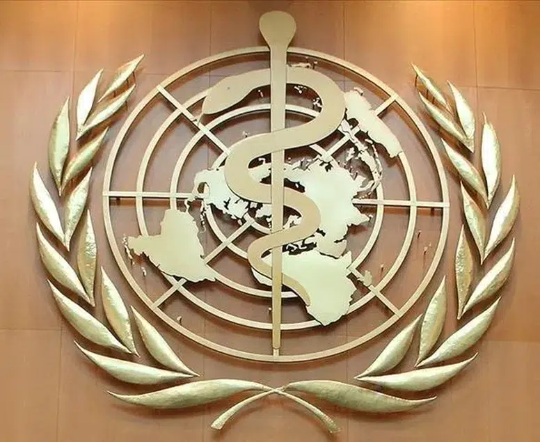 DSÖ'den Hantavirüs Açıklaması: Küresel Risk Düşük